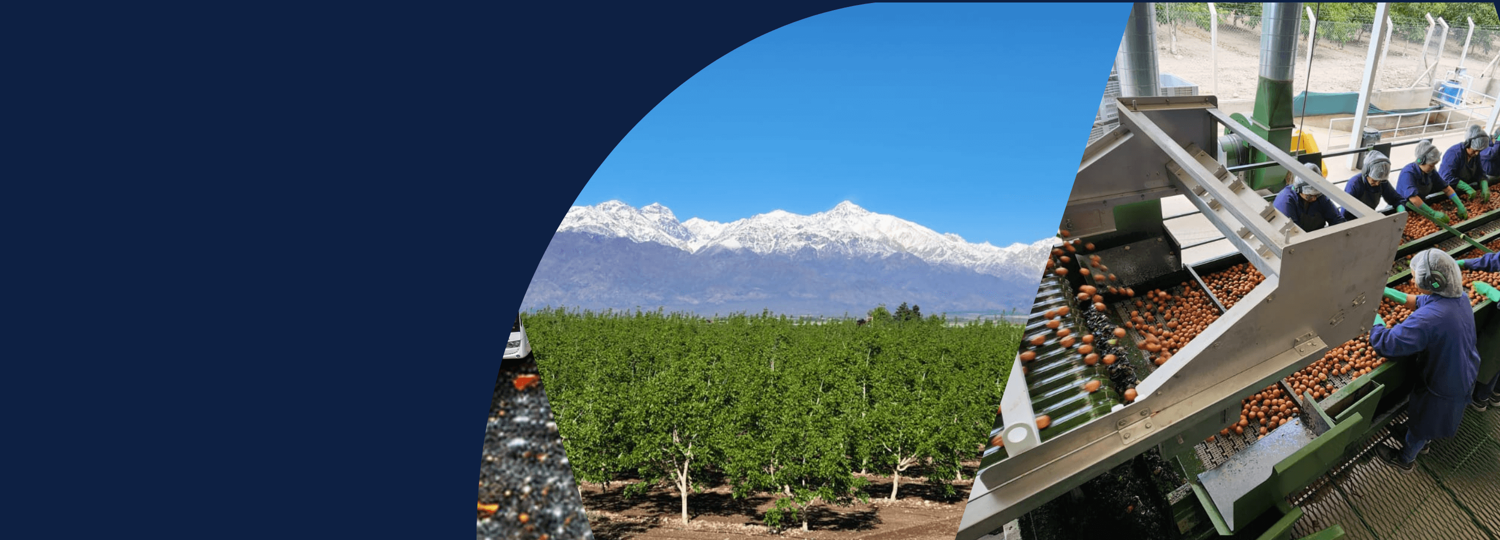 GRUPO METROPOL | Agro